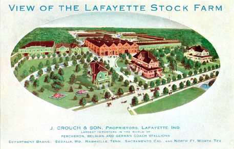 LaFayette Stock Farm postcard